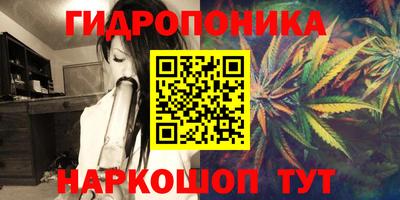 дживик Гусев